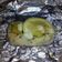 El cooksnap de Helen Martinez Perez cuando hizo Merluza al papillote light.