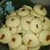 صورة من Ola ، شاركها بعد تجربة وصفة كوكيز 🍪 جوز الهند والكاكاو