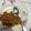 Cooksnap dari kucingkepanasan untuk resep Nasi Goreng Ikan Asin
