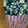 El cooksnap de Paula Hinke Nutrición cuando hizo Palomitas dulces de colores.