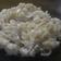 Cooksnap dari Whosy Whoreary untuk resep Makaroni carbonara