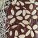 Cooksnap dari Kiky untuk resep 5. Fudgy Brownies Shiny Crust