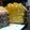 El cooksnap de Sergio Ea Lagos cuando hizo Torta de mandarinas.