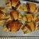niki1992 Cooksnap-ja, amikor elkészítette a(z) Kakaós és fahéjas croissant receptet.