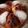 El cooksnap de Montse Casellas - Trasteamos en mi Cocina? cuando hizo Pan brioche dulce con yogur.