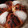 El cooksnap de Montse Casellas - Trasteamos en mi Cocina? cuando hizo Pan brioche dulce con yogur.