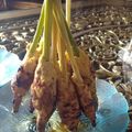 Cooksnap dari Yongki RS untuk resep Sate buntel stik es krim