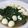 Cooksnap dari Ade Qback Arfela untuk resep Cah kangkung telor puyuh