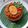 Cooksnap dari Olive untuk resep Nasi Tim Ayam lengkap dengan kuah kaldu