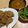 Cooksnap dari canningway27 untuk resep Crispy Chicken Steak