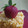 Cooksnap dari Tri Umiatik untuk resep Carrot Cake