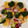 El cooksnap de Aida Cocina cuando hizo Ensalada de naranja, brócoli, lombarda y rabanitos.