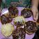 Cooksnap dari Savana Hesty untuk resep Martabak Mini Terang Bulan (Tips supaya bersarang)
