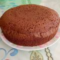 Cooksnap dari Mbak Iting Memasak untuk resep Sponge Cake Coklat Kukus