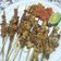 Cooksnap dari Nur Aziza Risqa untuk resep Sate Taichan #rabubaru