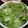 鼠一鼠二👩‍🌾 的 長長久久長年菜 cooksnap