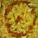 Nosheen Nadeem's cooksnap of when they made Simple macaroni.