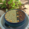 کوک اسنپ سمیه دانا‌‌‌ بعد از امتحان کردن آش دوغ اردبیل.