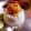 Puja Adhikary (Mistu)'s cooksnap of when they made এগ ভাপা চিলি (egg bhapa chilli recipe in bengali).