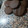 El cooksnap de Carolina Viera cuando hizo Galletas de chocolate súper fáciles 🍫.