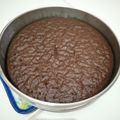 Cooksnap dari Aisyah Puspita Putri untuk resep Brownies Kukus