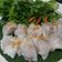 รูป Cooksnap ของ Jinna Na เมื่อเขาทำ ข้าวเกรียบปากหม้อ
