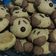 Cooksnap dari Anggie untuk resep Doggie Cookies