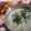 Cooksnap dari Debora Dwi untuk resep Sayur Bobor Bayung