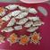 Cooksnap dari sari ningsih untuk resep Gyoza