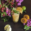il Francesca Diomede quando ha preparato Mojito all'anguria