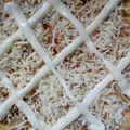 Cooksnap dari inayah untuk resep Pizza Teflon Anti Gagal (Takaran Sendok)