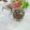 Cooksnap dari Ingrid Soebagio untuk resep Es MiCin