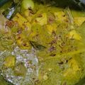Cooksnap dari Fitriyana Ambarsari untuk resep Opor Ayam Campur