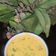 Janaki Sharma का कुकस्नैप जब उन्होंने बेसन कढ़ी (Besan kadhi recipe in Hindi) बनाया था।