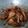 Cooksnap dari Zubayd untuk resep Ayam kecap