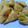 Cooksnap dari Ira Liliana untuk resep Samosa