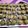Cooksnap dari Endah untuk resep Brownies kukus ala Ny Lim