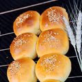 کوک اسنپ ŠÖhä بعد از امتحان کردن نان لادی پاو (Ladi Pav).
