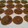 Len's cooksnap of when they made Graham Cracker Chocolate Chip Cookies.