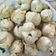 Cooksnap dari Haryo Manano untuk resep Nenti Jaho (Tepung Ketan)