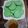 Cooksnap dari Fanny Najoan untuk resep Apem serabi pandan