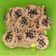 Cooksnap dari Lis Šetiä untuk resep Chocochips cookies (tanpa oven,pakai teplon)