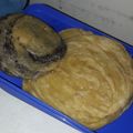 Cooksnap dari Farhanah Harharah untuk resep Roti Pratha a.k.a /Cane/Maryam