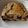 Cooksnap de Brigitte Alouqua sur la recette Moelleux banane chocolat