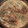 Cyndi Coker's cooksnap of when they made Easy Chicken with Celery Cream Sauce.