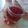 Mitali Chavda (Mitali Darshan Vala)'s cooksnap of when they made દાડમ નો જ્યુસ (Pomegranate Juice Recipe In Gujarati).