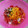El cooksnap de Patricia Moyes cuando hizo Ensalada Saludable.