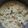 El cooksnap de Esmeralda Valerio Rodriguez cuando hizo Coliflor con bechamel y bacon.