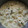 El cooksnap de Esmeralda Valerio Rodriguez cuando hizo Coliflor con bechamel y bacon.