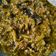 Cooksnap dari Teh Puput untuk resep Sambal Hijau Padang